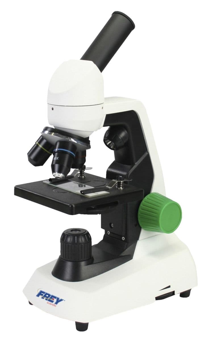 Frey Scientific 1572989 Elementary Basic Compound Microscope