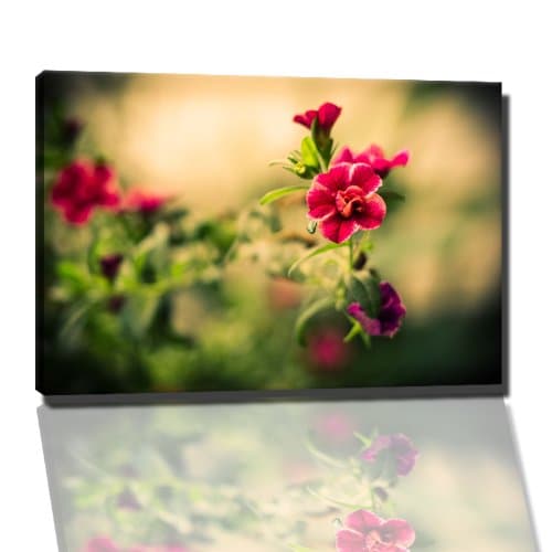Pink flowers Pictures on canvas - length 31,5" height 23,6"cm -