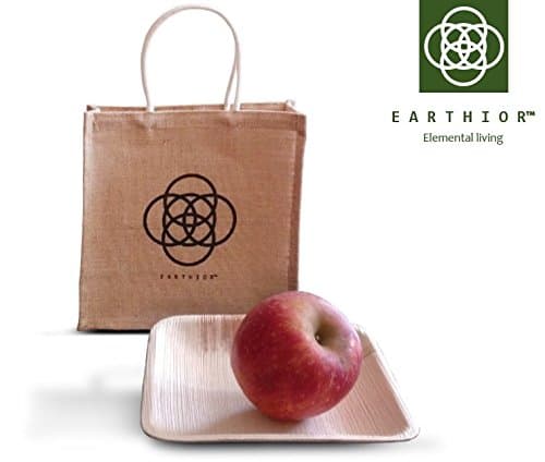 Set of 20 Square Eco Dessert Plates multi-use &amp; disposable party plates