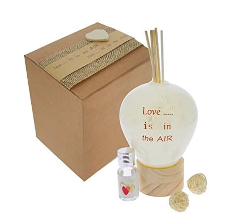 Reed Diffuser Hot Air Balloon Large Glass/Wood 10 x 14 + Perfume C/AST.