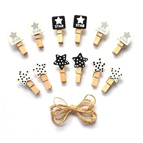 LWR Crafts Wooden Mini Clothespins Stars 24 Pieces and Jute Cord 8 Ft