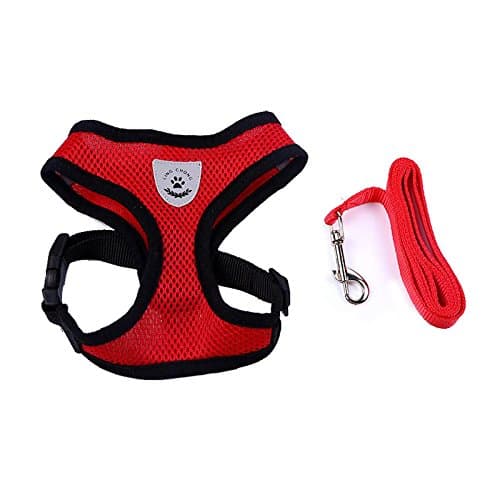 Doggie Style Store Red Soft Nylon Mesh Dog Puppy Pet Cat Kitten Adjustable Vest Harness & Lead Leash Set Size S