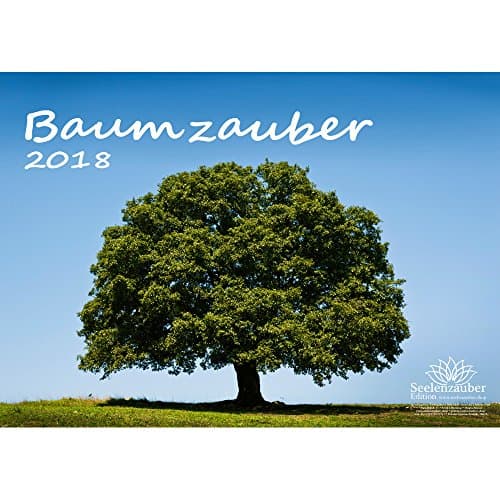 Premium 2018; DIN A4; Tree Magic Tree Christmas Card – Trees – Forest – Gift Pack with 1 Greeting Card, 1. Edition Soul Magic