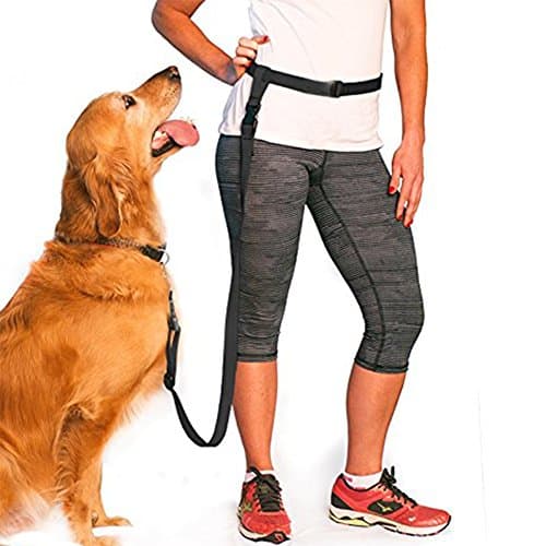Dog Leash For Running Jogging Dog Walking Training Lead Rope Hands-Free (No Collar) - Black