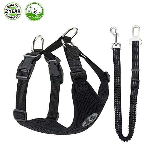 Berennis Dog Safety Vest Harness, Adjustable Double Breathable Mesh Fabric Vest Harness and Safety Seat Belt with Elastic Nylon Bungee Buffer in Cars Vehicle for Small Medium Large Dogs Travel Daily Walks (Medium, Black)