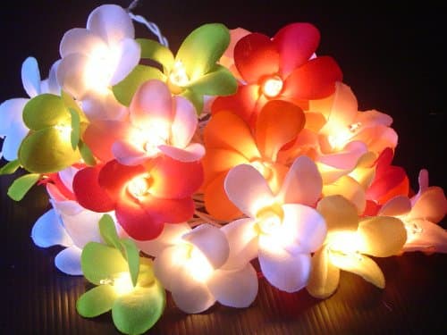 Mixed Colours Battery LED Frangipani frangipanni Flower Fairy Lights By GLOWFROST TM
