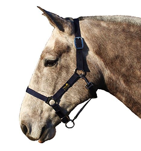 Snuggy Hoods Head Collar/ Horse &amp; Pony Halter (Small/ Pony) - 4 Sizes - Navy
