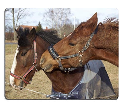Jun xt Mousepad starr 990515 0770 Scaevola taccada with Sterna fuscata in flight Eastern Island Midway Atoll Natural Rubber Material Image 24444446091