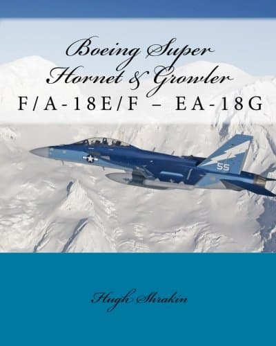 Boeing Super Hornet & Growler: F/A-18E/F & EA-18G