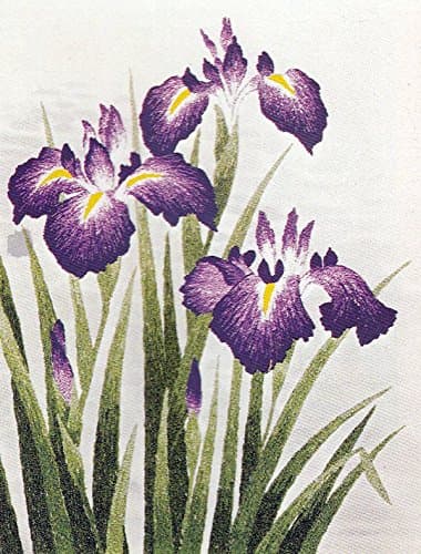 Tokyo Bunka Shishu 141 Iris Flower Japanese Punch Embroidery Kit by Tokyo Bunka