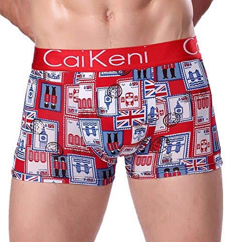 CAIKENI Men's Underwear Sexy Modern Ice Silk Underpants Comfort Fitting Trunk