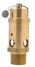 New 1/2" ASME Safety relief Valve 100 PSI American made