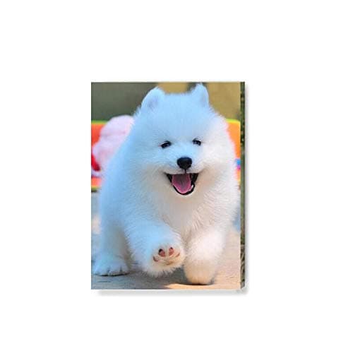 Your Personalised Photo Image Picture on Canvas Print Framed Ready to Hang Wall Art (20cmx30cm With Frame)