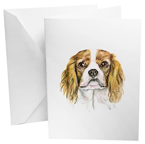 Cavelier King Charles Dog Set of 12 Note Cards