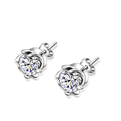 YOUNICE Round Platinum Clear Cubic Zirconia Royal Journey Jewelry 925 Silver Stud Earrings