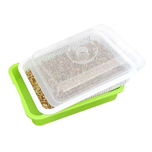 Seed Sprouter Tray BPA Free Nursery Tray for Seedlings Wheat Grass Grower Planter with Cover Sprouting Kit Thickening Seedling Box Planting Mung Bean Sprout Growing Trays（32.5CM26CM11.5CM）