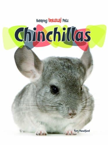 Chinchillas (Keeping Unusual Pets)