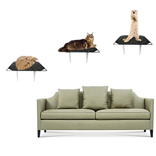 Singyep 3 piece set Small Cat Step Cloud Shelves Board Wall Mounted Kitten Climber Wall Tree toys for Climbing ,Jumping ,Sleeping in Black .