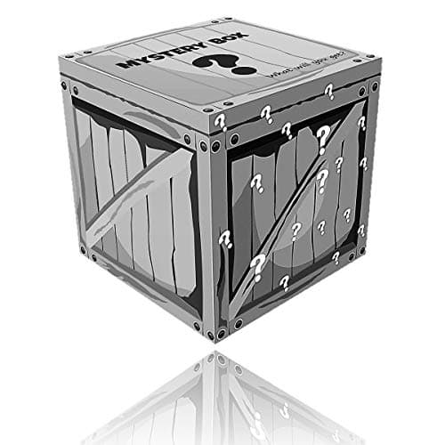 CreativeFLToys Mystery Box Gamers – Fnite Themed Mystery Boxes | 4 – 6 Items | Minimum $100 Value | Vintage Packaging Gamers |