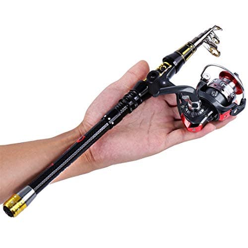 Portable Mini Telescopic Fishing Rod with Fishing Reel Combo Spinning Reel Carbon Pole Kit Fishing Tackle