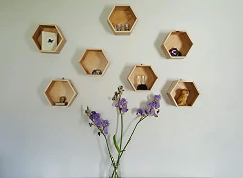 Hexagon Shelf (One)