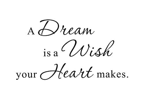 A Dream is a Wish Your Heart Makes Cinderella Inspirational Home Family Bedroom Mural DIY Vinyl Quote Saying Wall Sticker Decals Transfer Removable Words Lettering Wallpaper (Size1: 23.2" x 12.5")