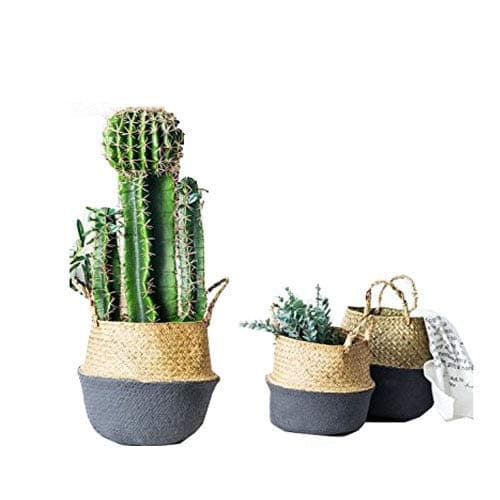 CENGOODNatural Seagrass Woven Basket Bin Hamper Collapsible with Handles for Storage Plant Pot XL(26 x 36cm)