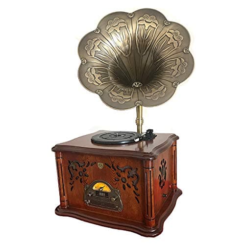 RAPLANC Retro Horn Turntable Bluetooth Vinyl Record Player, Classic Gramophone with FM/AM Radio, CD, USB, Bluetooth Wireless Playback