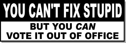 Anti Obama You Can't Fix Stupid But You Can Vote It Out Of Office Bumper Sticker Decal