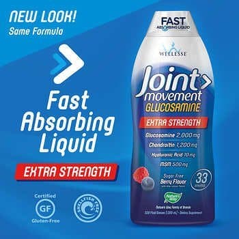 Wellesse Joint Movement Glucosamine with Chondroitin Msm GreatItems 3 Pack (33.9 fl oz) Potent Free Radical