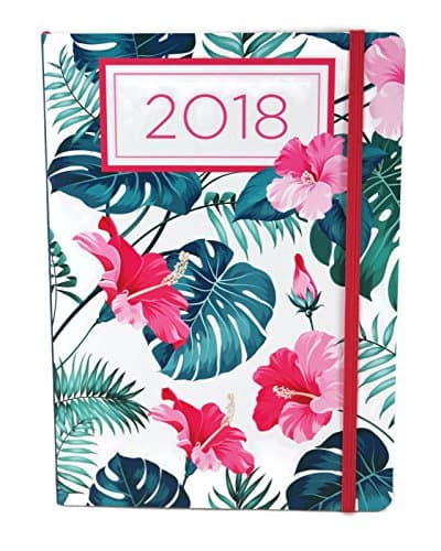 2018 Weekly By Day Planner Calendar Journal, 8.25 X 6 Inches, Laminated Cover (Tropical)