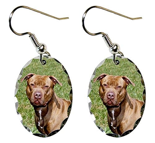 Canine Designs American Pitbull Scalloped Edge Oval Earrings