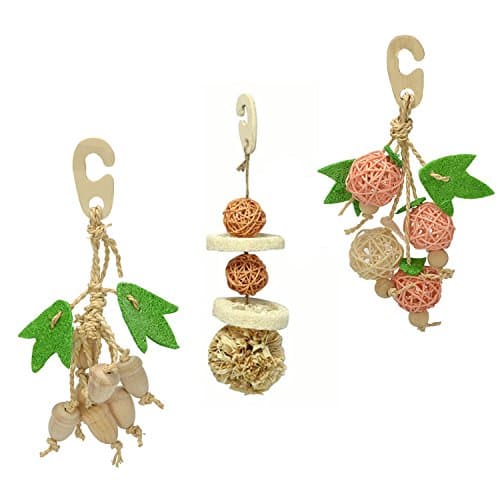 Sanko Natural Bird Chewing Toys Bundle: Acorn, Ball and Fruits (B01)