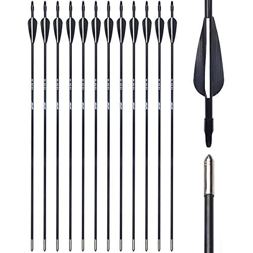 ANTSIR 28-30 Archery Target Arrows-Durable Shaft for Adult Training or Kid,with Steel Tip for Recuve &Traditional Bow