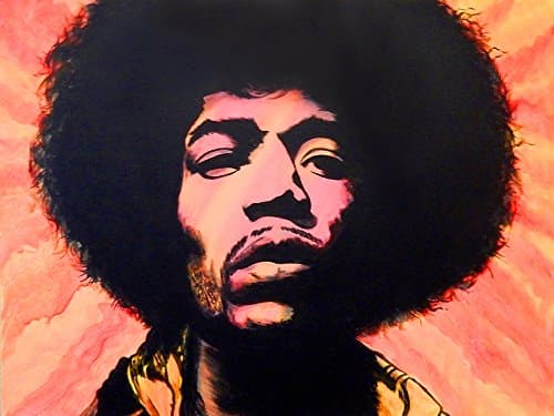 Buyartforless Jimmy Hendrix Pop Art 24x18 GICLEE 12 Color Art Print Poster by Ed Capeau Made in The USA
