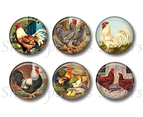 Chicken and Rooster Magnets - Set of Six 1.5 Inch Magnets - Farm Kitchen Decor - Farm Magnets