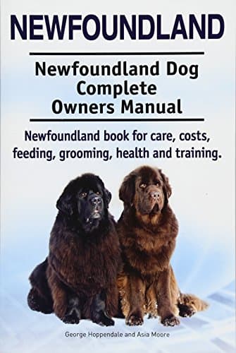 Newfoundland. Newfoundland Dog Complete Owners Manual. Newfoundland book for care, costs, feeding, grooming, health and training.