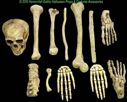 Life Size Budget SKELETON-BAG of BONES-SKULL Haunted House Decoration Props-12pc
