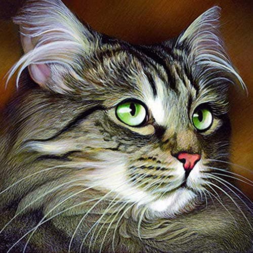 DIY 5D Full Drill Cat Diamond Painting,Jchen(TM) Merry Christmas Home Decor 5D Diamond Embroidery Painting Cross Stitch Crystal Rhinestone Arts Craft Kits