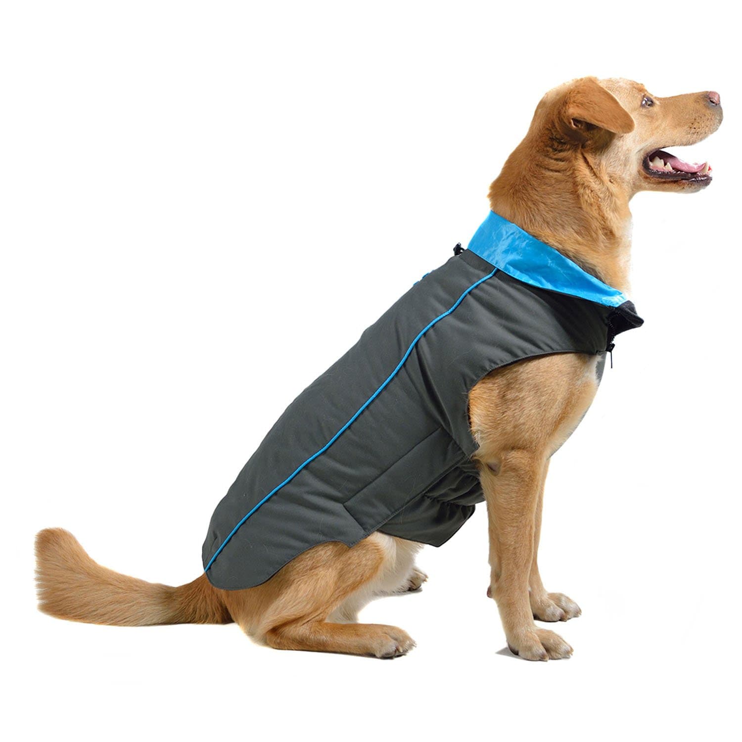 Dog Gone Smart Trailblazer Jacket with Repelz-It Nano-Protection Coat for Dogs, 12", Grey with Teal