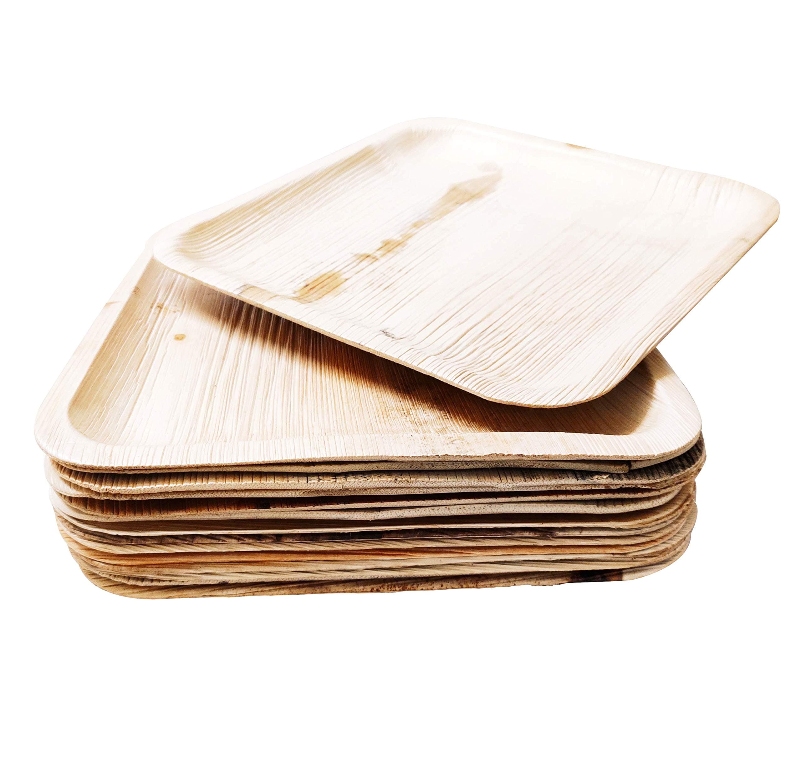 Palmbite 10" Areca Shallow Square Plates 25pc (10" Square Plate)
