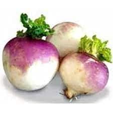 Audbhidhi Vegetable Seeds | Turnip Seeds | Turnip Vegetable Seeds | Turnip Seeds For Home Garden pack of 30 seeds