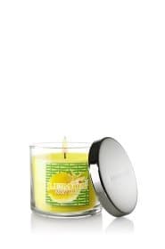 Bath and Body Works Slatkin 4 Oz Scented Candle Lemon Mint Leaf Mintleaf