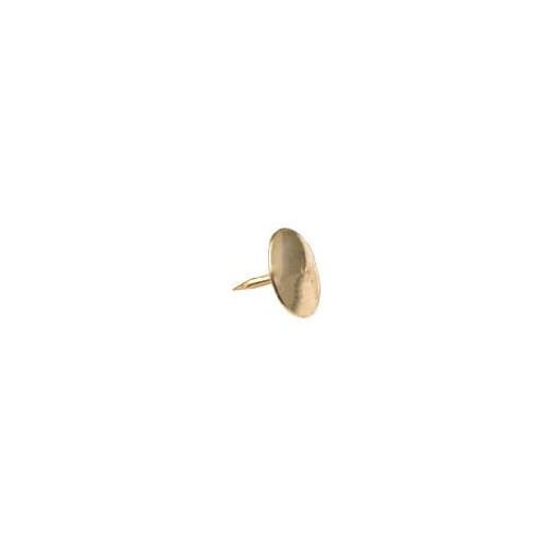 Brass Push Pins - Box of 100 [Office Supplies]