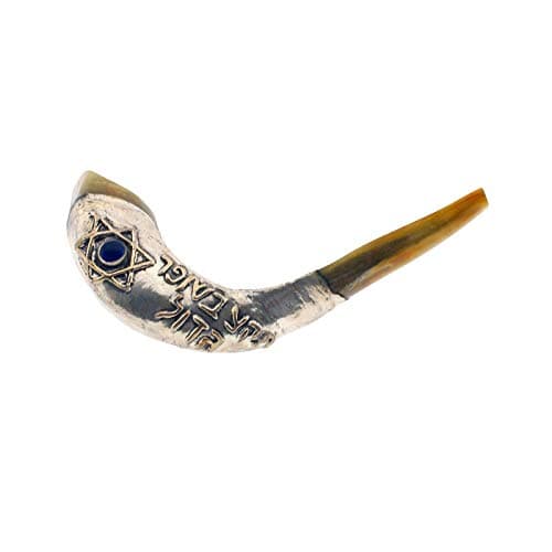 KOSHER ODORLESS STERLING SILVER SHOFAR | Natural Rams Horn | Popular Judaica Designs | Smooth Mouthpiece for Easy Blowing | Includes Carrying Bag and Guide (Star of David w Blue eye and Blessing)