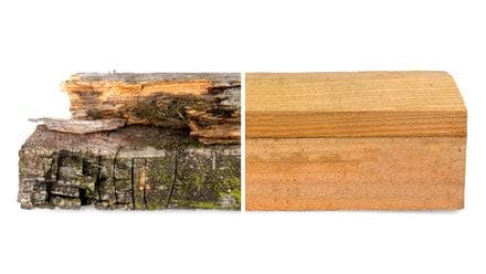 Roxil Wood Impregnate (5 Liters) Colorless, odorless preparation providing protection against mold, rot, fungal attack and technical wood pests.