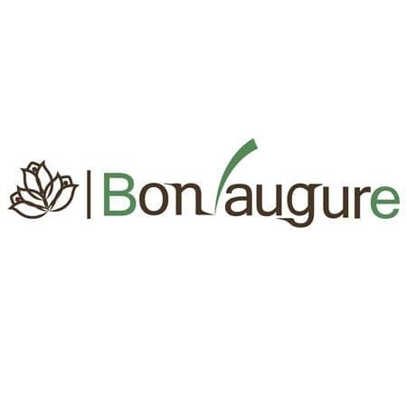 BON AUGURE Rustic Wood Computer Desk, Industrial Writing Desk, Wood Desk Table for Home Office (47 inch, Mahogany)