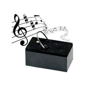 All Shook Up, Jamie Aaron Kelley Digital Music Player by Cottage Gardens