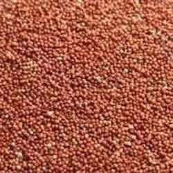 Seelans Indian Ragi Whole | 1Kg |Kurakkan | Whole Grain Millet | High Fibre | High Protein | Kelvaragu | Whole Grain | Healthy Grain | Natural | No Preservatives|Mandua|Mangal