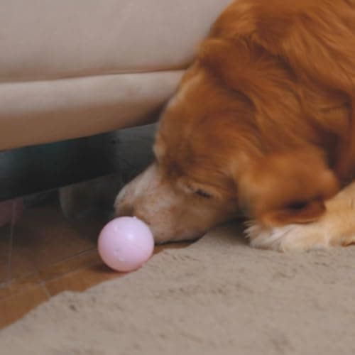 BOWERBIRD Clear Under Couch Blockers - Stop Toys from Going Under Couch Sofa Bed and Other Furniture - Suit for Hard Surface Floors Only